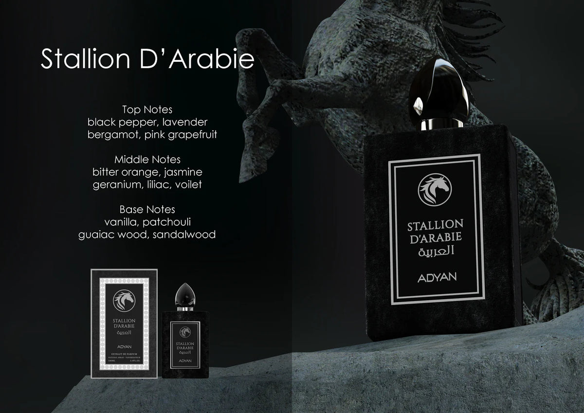 Luxury Arabian Perfume Stallion D’Arabie by Adyan a bold 100ml extrait de parfum with citrus, floral, vanilla, woody notes. Luxury gift bottle notes