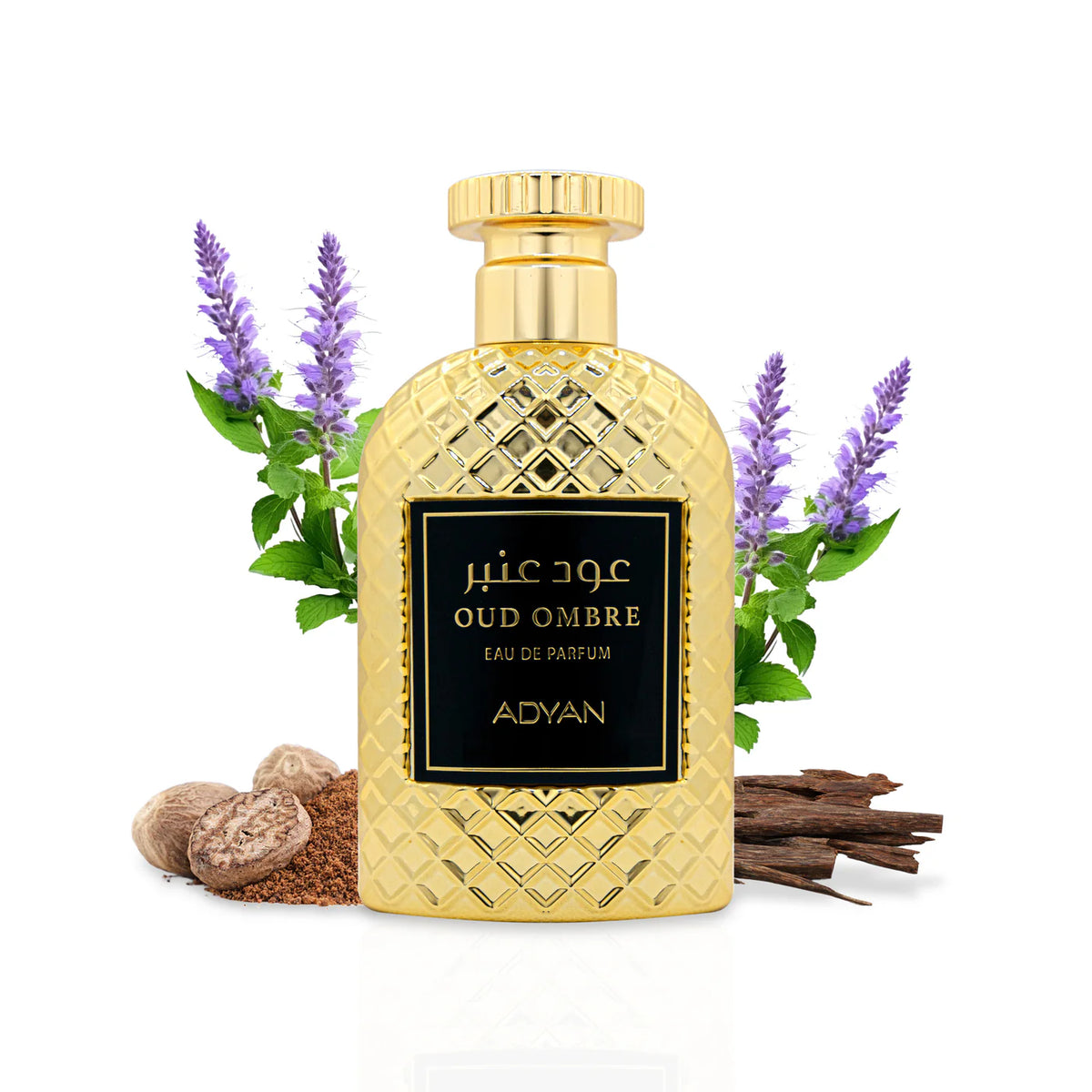 Oud Ombre by Adyan – 100ml Smoky amber Oud Perfume Bottle