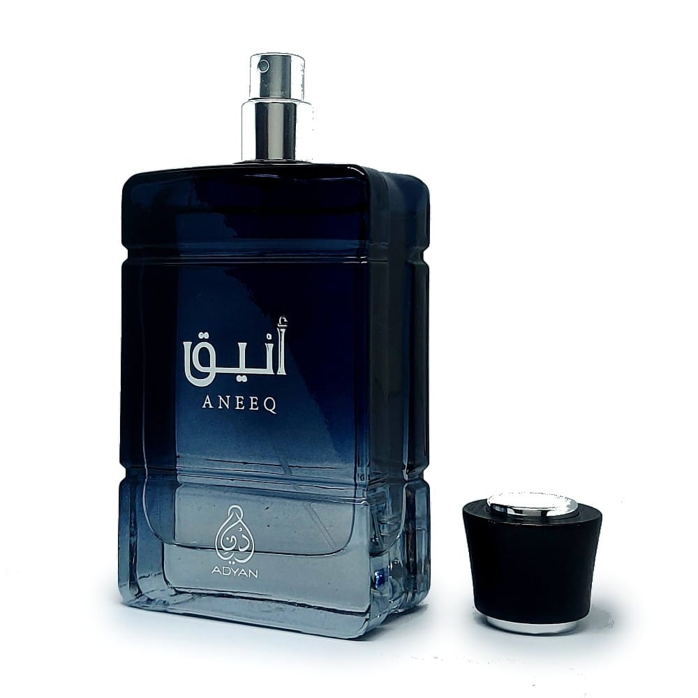 Adyan aneeq 100ml oud perufme spray oudh shop