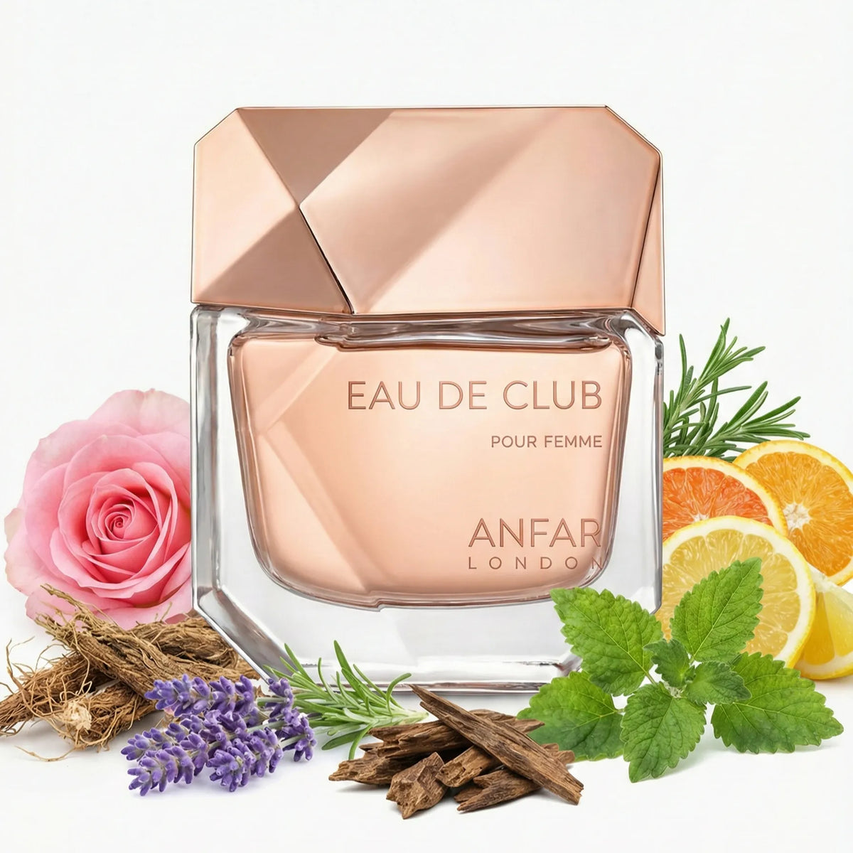Eau De Club Pour Femme by Anfar London 100ml Eau de Parfum a sophisticated luxury seductive sweet Oud Perfume for women