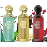 Fouco sabbia Vague by Anfar – 100ml Element Edition de Anfar Oud Leather Perfume Bottle
